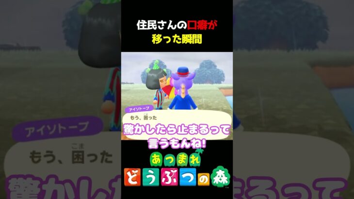 【あつ森】住民さんの口癖って移るの知ってた?