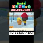 【おばちゃんのあつ森生活】この人お金払いに来た♪　🌳あつ森初心者🌳