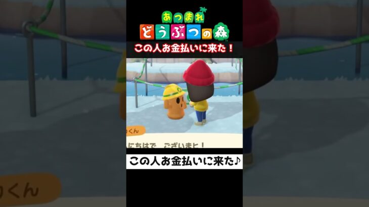 【おばちゃんのあつ森生活】この人お金払いに来た♪　🌳あつ森初心者🌳