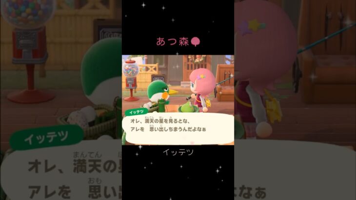 あつ森🌳　昼のイッテツ