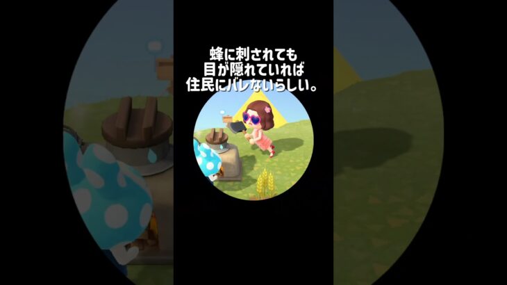 フランソワ巻き込もうとしたの反省してる。 #あつ森 #あつまれどうぶつの森 #フランソワ #ごめん