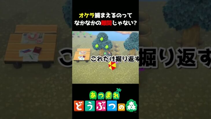【あつ森】オケラ確保に初挑戦した結果