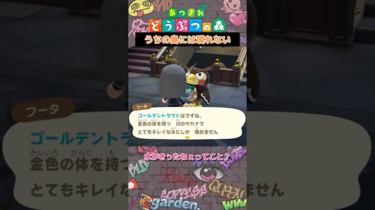 【あつ森】どおりでゴミがいっぱい釣れるわけだ…💭