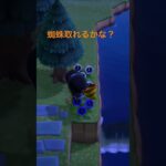 蜘蛛を取ろう！ #人気になりたい #ばずれ #あつ森