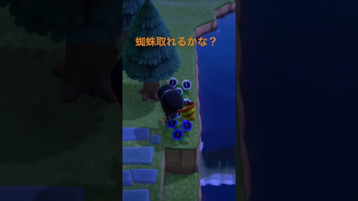 蜘蛛を取ろう！ #人気になりたい #ばずれ #あつ森
