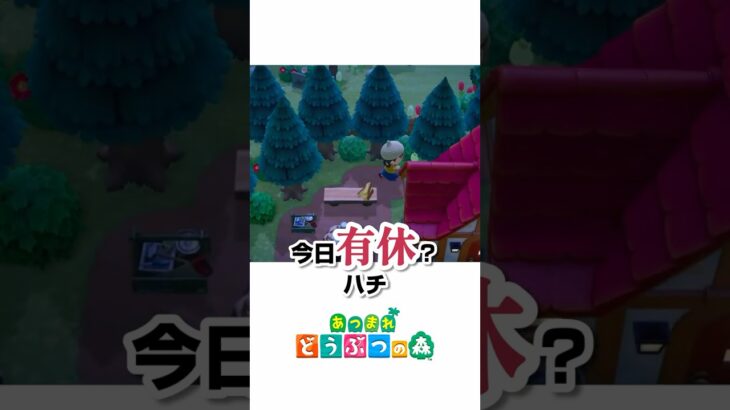 バグですか？ハチを求めて三千里【あつ森】