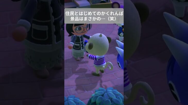 【あつ森】住人とはじめてのかくれんぼ！！景品！！どうして！！！