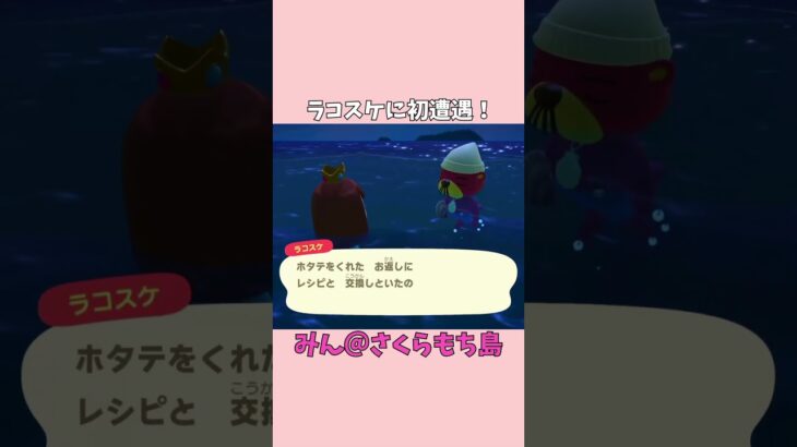 【あつ森】ラコスケに初遭遇！🦦ホタテをあげたよ✨