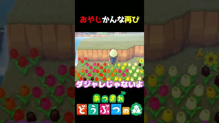 【あつ森】タイだけにね!!