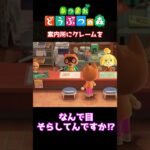 【おばちゃんのあつ森生活】たぬきちにクレームを言いに　🌳あつ森初心者🌳