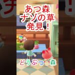 なんだこれ！？あつ森【あつまれどうぶつの森】#あつ森 #あつまれどうぶつの森