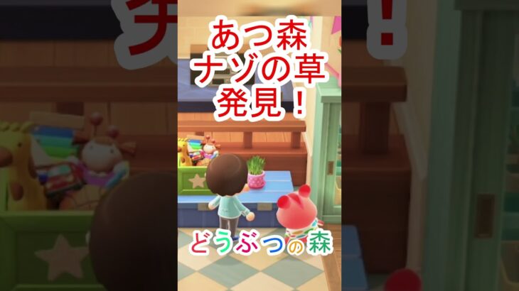 なんだこれ！？あつ森【あつまれどうぶつの森】#あつ森 #あつまれどうぶつの森