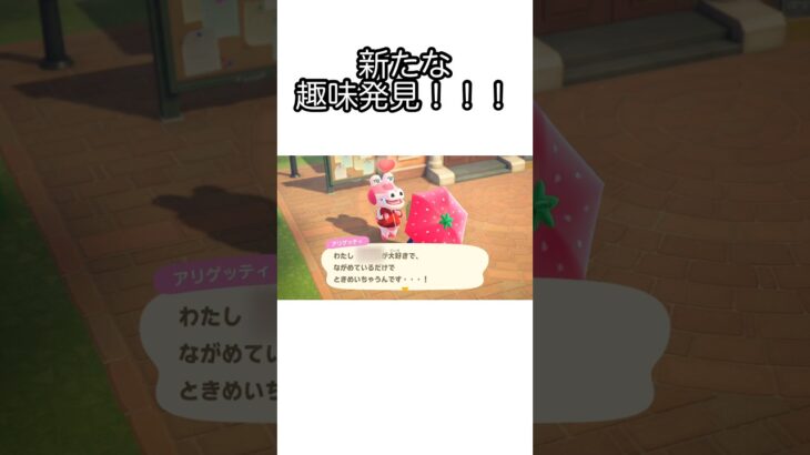 【あつ森】あの住民の新しい趣味がわかったけどそれより…