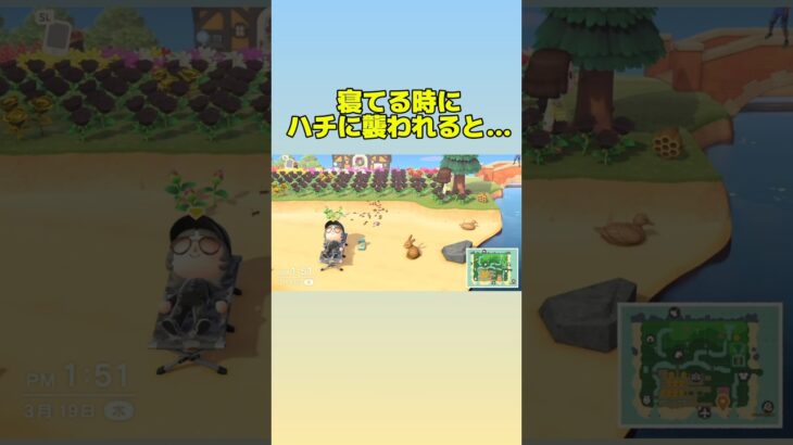 寝てる時にハチに襲われると… #あつ森 #あつまれどうぶつの森
