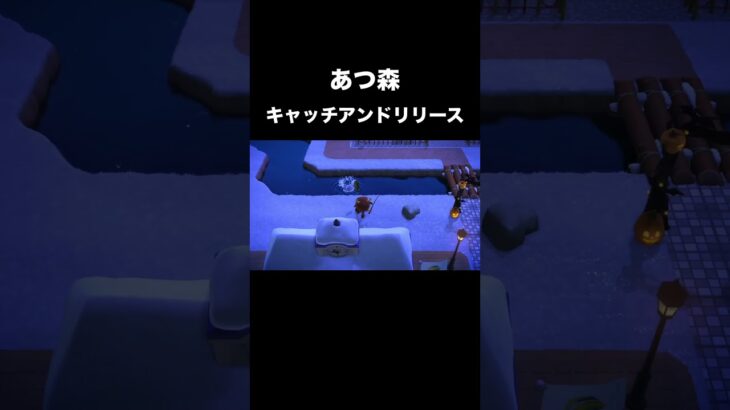 【あつ森】キャッチアンドリリース