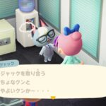 【あつ森】深夜配信ちょこっとやる