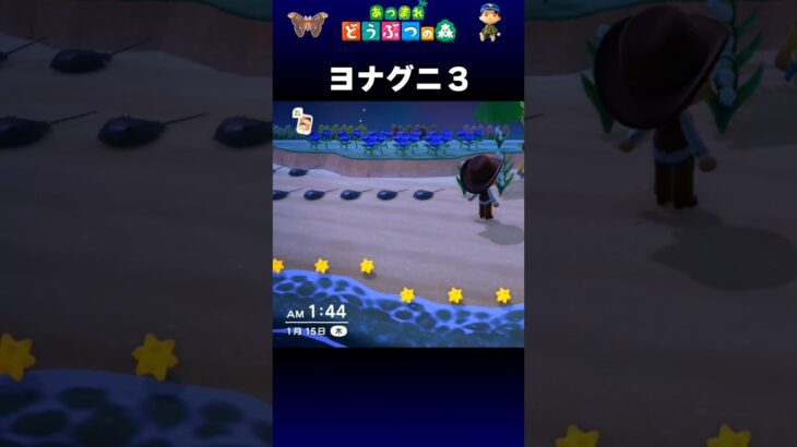 【あつ森】ヨナグニ３