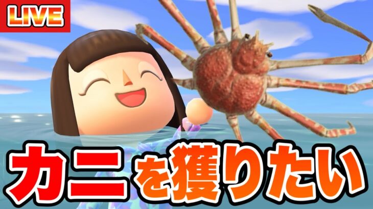 【あつ森】海の幸図鑑コンプへの道！～タカアシガニを獲りたい！！！～