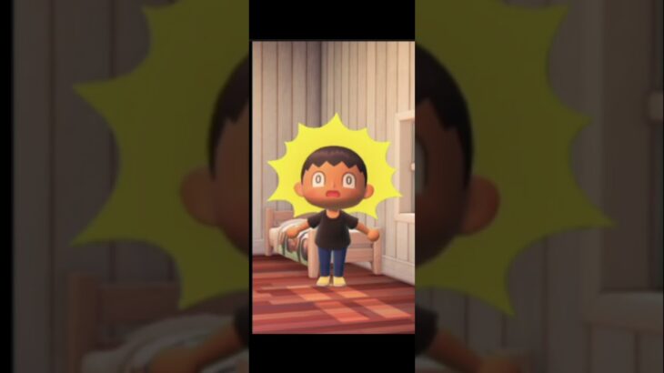 エッッッなものをかくすやつ【あつ森】