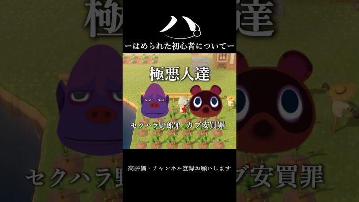 【あつ森】-ハ。はめられた初心者について- #あつ森 #あつまれどうぶつの森 #あつ森初心者