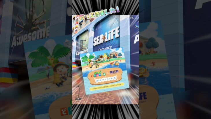【あつ森】シーライフコラボ行ってきました！レゴランドの水族館とコラボ中のあつまれどうぶつの森〜海の生きものふれあい展〜