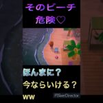 そのビーチ危険♡/あつ森日和