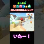 【おばちゃんのあつ森生活】今回の住民厳選は、いかに⁉　🌳あつ森初心者🌳