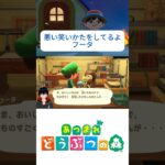 あつ森 フータくんの悪い顔