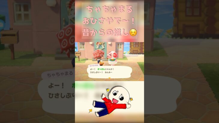【ちゃちゃまる】ちゃちゃまる、おひさやで！【あつ森】