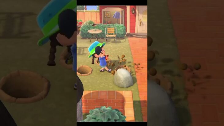 【あつ森】なーんで岩が先でるのさ