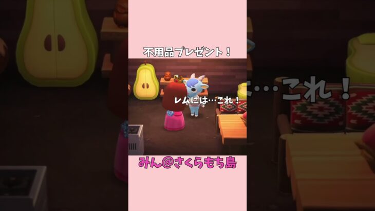 【あつ森】役場でゲットした服と木の苗プレゼントしてみた🎁