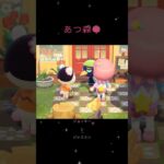 あつ森🌳　ジョッキーとジャスミン