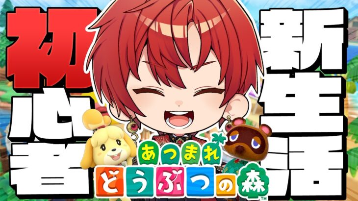 【初見】久しぶりにユエルがあつ森に帰宅します【ユエル/ブラフラ】