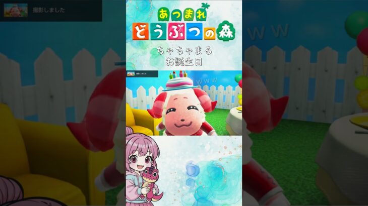 【あつ森】ちゃちゃまるお誕生日会で新しい世界を発見🐑ふんふん