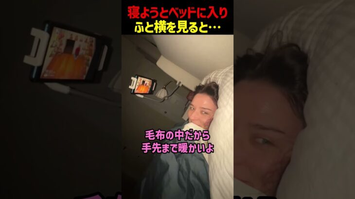 海外のカワイイ「あつ森ガチ勢」