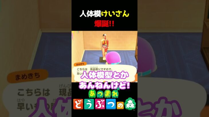 【あつ森】コチラ人体模けいさんになります