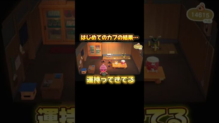 脳汁ドバドバ#あつまれどうぶつの森 #あつ森 #あつ森カブ #ゲーム実況