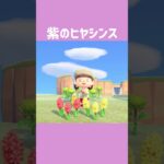 [あつ森]いつ咲くかな？🪻#あつまれどうぶつの森