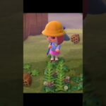 あつ森ハチ不正捕獲