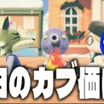 【あつ森】カブのために日付を変えてしまった人の末路【リセット勢】