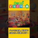 急に気になっちゃうこともあるよね…【あつ森】 #あつまれどうぶつの森 #あつ森 #ゲーム実況