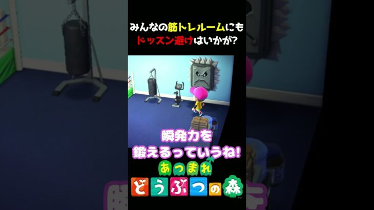 【あつ森】命がけのトレーニングはいかが?