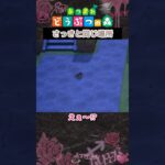 【あつ森】タランチュラ普通に怖い😞