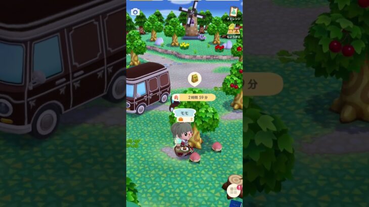 ポケ森キャンプ🏕️#ゲーム#あつ森 #ポケ森#あつまれどうぶつの森