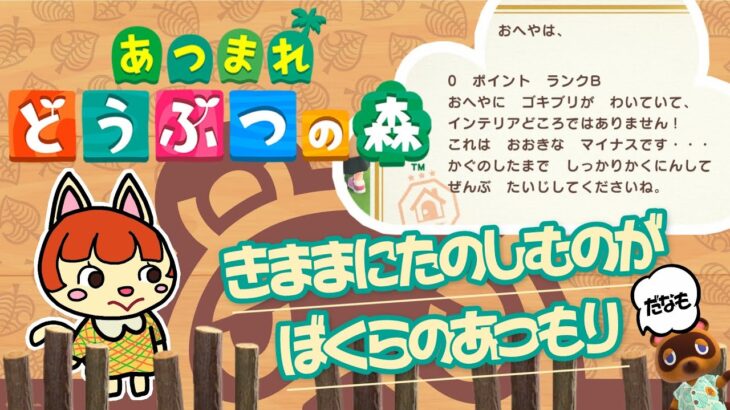 【あつ森】問題の全く手つかず西エリア攻めていきますか✨