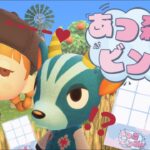 あつ森でビンゴゲームしてみたら…まさかのマスが埋まりました。【あつまれどうぶつの森】