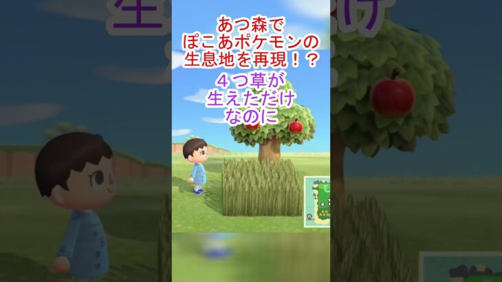 あつ森をぽこあポケモンやりすぎた人がやるとこうなる【あつまれどうぶつの森】#あつ森 #あつまれどうぶつの森