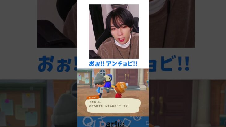 修羅場事じゃねぇーか!! #あつ森 #ゲーム実況 #切り抜き