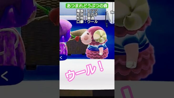 【#あつ森 】アクリル【#あつまれどうぶつの森 】