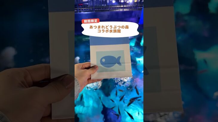 どうぶつの森の水族館がありました🐟